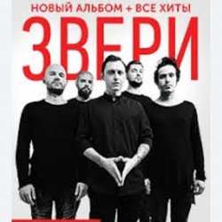 封面 Рома Зверев - Все что тебя касается
