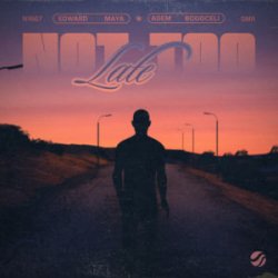 封面 Edward Maya & Adem Bogoceli - Not Too Late