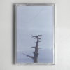 封面 Buttechno - 808 ambient pieces Buttechno - 808 ambient pieces