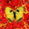封面 Ed Sheeran - Shivers Ed Sheeran - Shivers