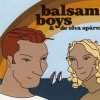封面 Balsam Boys - Dinga Linga Lena (Stone & JJ's Club Mix) Balsam Boys - Dinga Linga Lena (Stone & JJ's Club Mix)