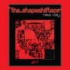 封面 The Shapeshifters - New day The Shapeshifters - New day