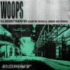 封面 DJ Bountyhunter - Woops (Dimitri Vegas & Junkie Kid Remix) DJ Bountyhunter - Woops (Dimitri Vegas & Junkie Kid Remix)