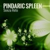 封面 Pindaric Spleen - Moonlite Longing Pindaric Spleen - Moonlite Longing