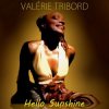 封面 Valérie Tribord - Hello Sunshine (Instrumental) Valérie Tribord - Hello Sunshine (Instrumental)