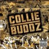 封面 Collie Buddz - Blind To You (Haters) Collie Buddz - Blind To You (Haters)