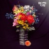 封面 Rocco Vice - Eiskrem Rocco Vice - Eiskrem