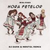 封面 Irina Rimes - Hora fetelor (Dj Dark & Mentol Remix) Irina Rimes - Hora fetelor (Dj Dark & Mentol Remix)