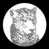 封面 Tensnake - Need Your Lovin Tensnake - Need Your Lovin