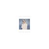 封面 Sally Dige - Holding On Sally Dige - Holding On