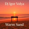 封面 DJ Igor Volya - Warm Sand DJ Igor Volya - Warm Sand