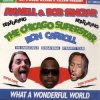 封面 Axwell and Bob Sinclar (Feat Ron Carroll) - What a wonderful world feat ron car Axwell and Bob Sinclar (Feat Ron Carroll) - What a wonderful world feat ron car