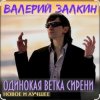 封面 Валерий Залкин - Одинокая ветка сирени Валерий Залкин - Одинокая ветка сирени