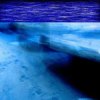 封面 Honeyfrequency feat. Mechabrain - IMMINENT MORNING Honeyfrequency feat. Mechabrain - IMMINENT MORNING