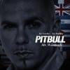 封面 Pitbull - Not An Alcoholic Pitbull - Not An Alcoholic