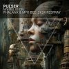 封面 Pulser - My Religion Pulser - My Religion