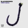 封面 FISHER & bbyclose - Blackberries (Extended Mix) FISHER & bbyclose - Blackberries (Extended Mix)