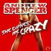 封面 Andrew Spencer - She Drives Me Crazy (Festival Extended Mix) Andrew Spencer - She Drives Me Crazy (Festival Extended Mix)