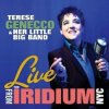 封面 Terese Genecco & Her Little Big Band - Swingin' On The Moon Terese Genecco & Her Little Big Band - Swingin' On The Moon