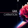 封面 Gaia - Carnation Gaia - Carnation