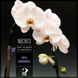 封面 I Will Remember (Original mix)