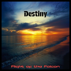 封面 Destiny (Radio edit)