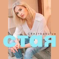 封面 Стая