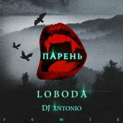 封面 Svetlana Loboda - Парень (dj Antonio remix)