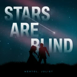 封面 Paris Hilton - Stars Are Blind (Mentol & Juliet Cover Remix)