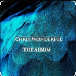 封面 Chris Wonderful - Anisotropic Universe