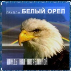 封面 Белый Орел - Дождь смывает все следы