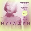 封面 Andrey Pitkin feat. Lera Papish - Мурашки Andrey Pitkin feat. Lera Papish - Мурашки