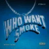 封面 Tricky Nicki & STOSLIV - Who Want Smoke? Tricky Nicki & STOSLIV - Who Want Smoke?