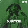 封面 Dj Pitkin - RАЙ Dj Pitkin - RАЙ