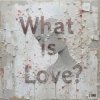 封面 Haddaway - What Is Love (Serge Gri Tech ver cover) Haddaway - What Is Love (Serge Gri Tech ver cover)