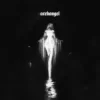 封面 Dj Anemia - Archangel 2 Dj Anemia - Archangel 2