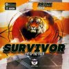 Survivor - Eye Of the tiger (Prime Remix)