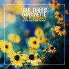 封面 Paul Harris feat. Dragonette - One Night Lover (Nora en Pure Remix) Paul Harris feat. Dragonette - One Night Lover (Nora en Pure Remix)