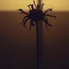 封面 Neytan - Welcome to my mind Neytan - Welcome to my mind