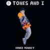 封面 Tones & I feat. Dj Noiz - Dance Monkey Tones & I feat. Dj Noiz - Dance Monkey