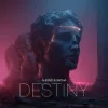 封面 Alesso & Sacha - Destiny Alesso & Sacha - Destiny