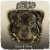 封面 Dogg Master - The Way You Dance My Funk