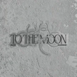 封面 Alok & ILLENIUM - To The Moon