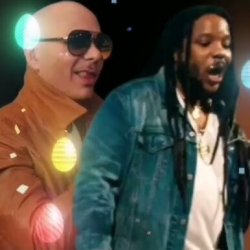封面 Pitbull feat. Stephen Marley - Options