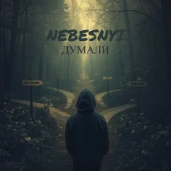 封面 Nebesnyi - ДУМАЛИ