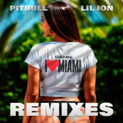 封面 Pitbull & Lil Jon - Damn I Love Miami (JumpSmokers Remix)