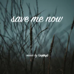 封面 LiQWYD - Save me now