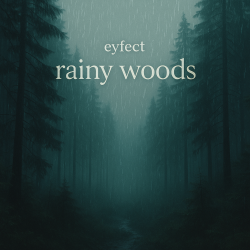 封面 eyfect - rainy woods