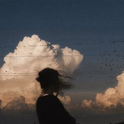 封面 eyfect - WHALESONG