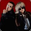 封面 ICEGERGERT - Hoodtrapstar ICEGERGERT - Hoodtrapstar